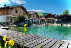 img-0796-1.jpg