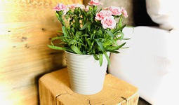 img-0841.jpg
