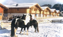 img-1732.jpg