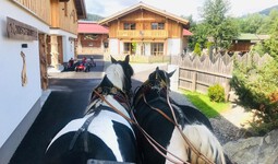 kutschenfahrt-durch-chalets-1.jpg