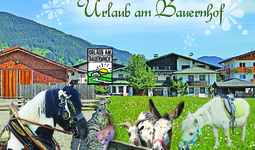 Unser biologisches Schwimmbiotop bietet Abkühlung und Spaß für die ganze Familie!