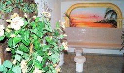 wellness7-1.jpg