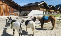 ponyreiten1-4.jpg