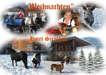 wwihnachten-1.jpg