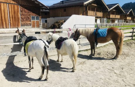 ponyreiten - Urlaub am Bauernhof Sieglhub Flachau